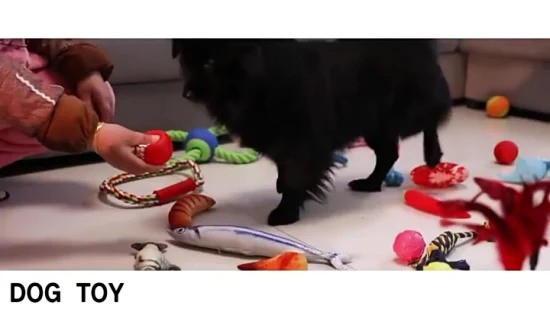 Mode Hund Spielzeug Luxus Keine Füllung Plüsch Pet Spielzeug Zarte Stickerei Crinkle Papier Innen Hund Spielzeug Heißer Verkauf